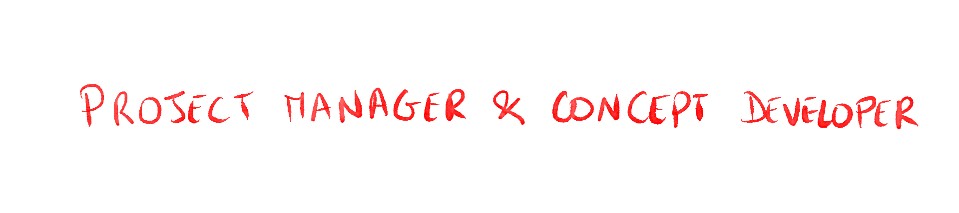 Project Manager and Concept Developer